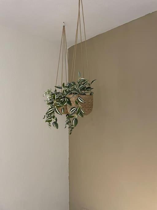 Almond Home Livadia  エクステリア 写真